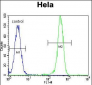 EPOR Antibody (Center)